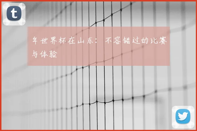 年世界杯在山东:不容错过的比赛与体验